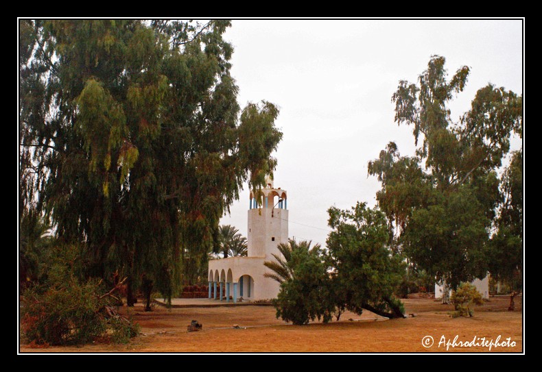 061 Mosquee de Bordj El Khadra